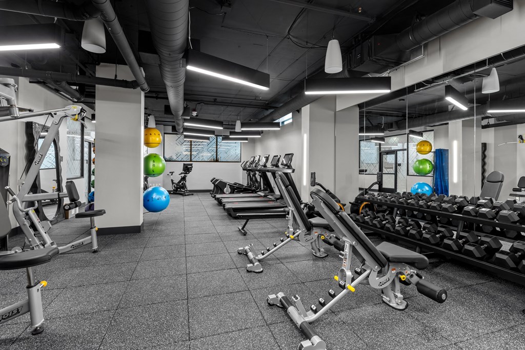 a gym with weights and dumbbells and other exercise equipment