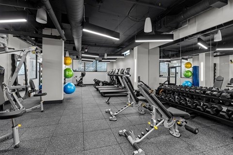 A gym with a variety of equipment including treadmills, weights, and exercise balls.