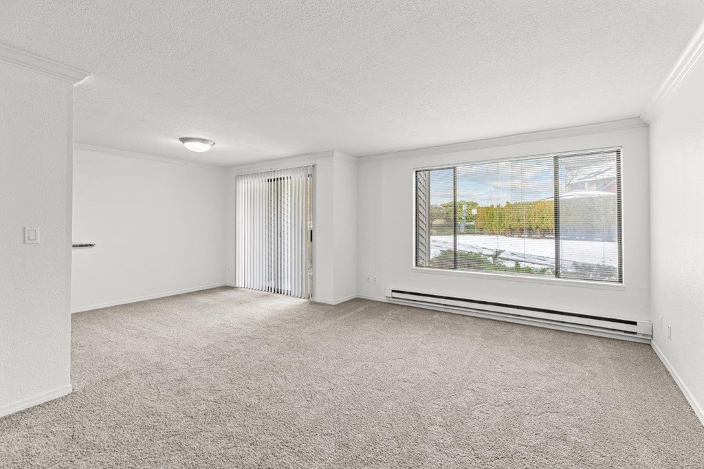 A room with a carpeted floor and a window with a view of the outside.
