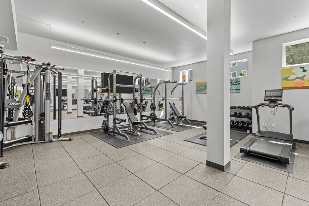 the gym at the house