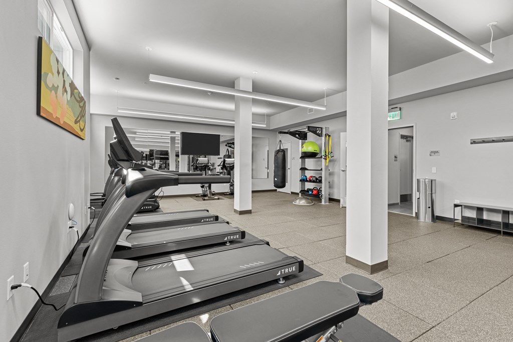 a gym with treadmills and other cardio equipment in a building