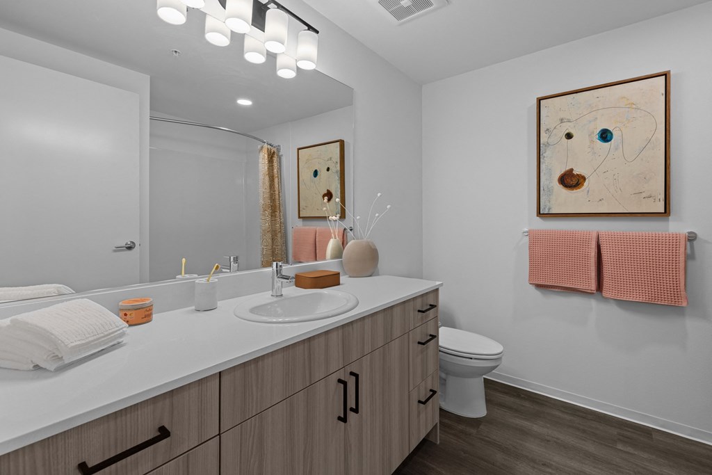 a bathroom with a sink and a toilet and a mirror