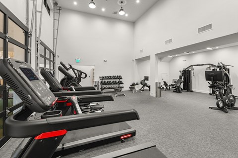 A gym with treadmills, elliptical machines, and other exercise equipment.