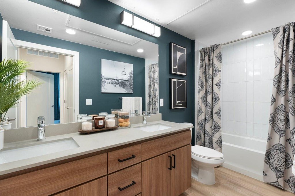 a bathroom with a sink and a toilet and a shower