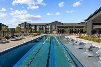 Lap pool with Sunning ledge