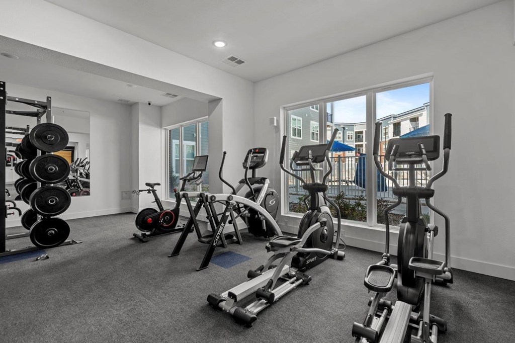 A well-equipped gym with various exercise machines and weights.