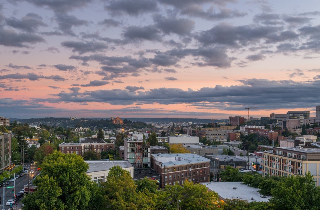 REO Flats View of Seattle
