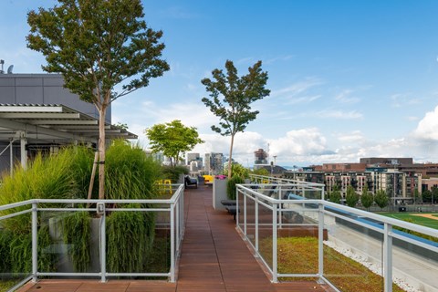 Sunset Electric Rooftop Deck