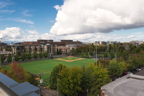 View of Baseball Field from Sunset Electric Rooftop Lounge