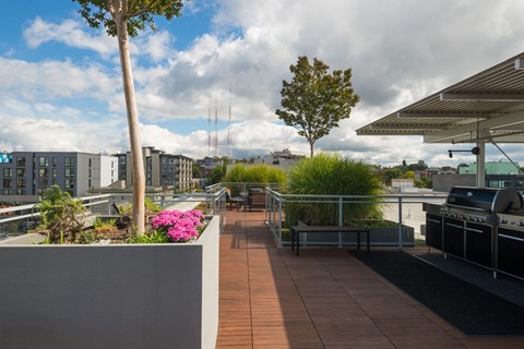 Sunset Electric Rooftop Deck with BBQ