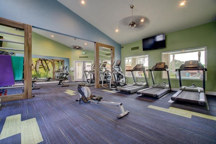 Domain 3201 Fitness Center with Weights and Cardio Machines