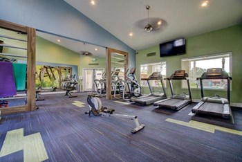 Domain 3201 Fitness Center with Weights and Cardio Machines - Photo Gallery 8