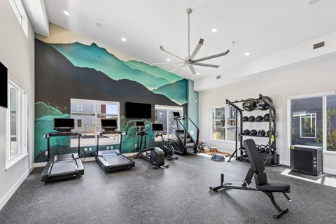 A gym with treadmills, exercise equipment, and a ceiling fan.