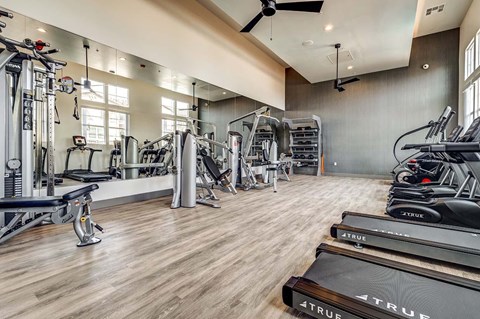A gym with a variety of equipment including treadmills, weights, and a fan.