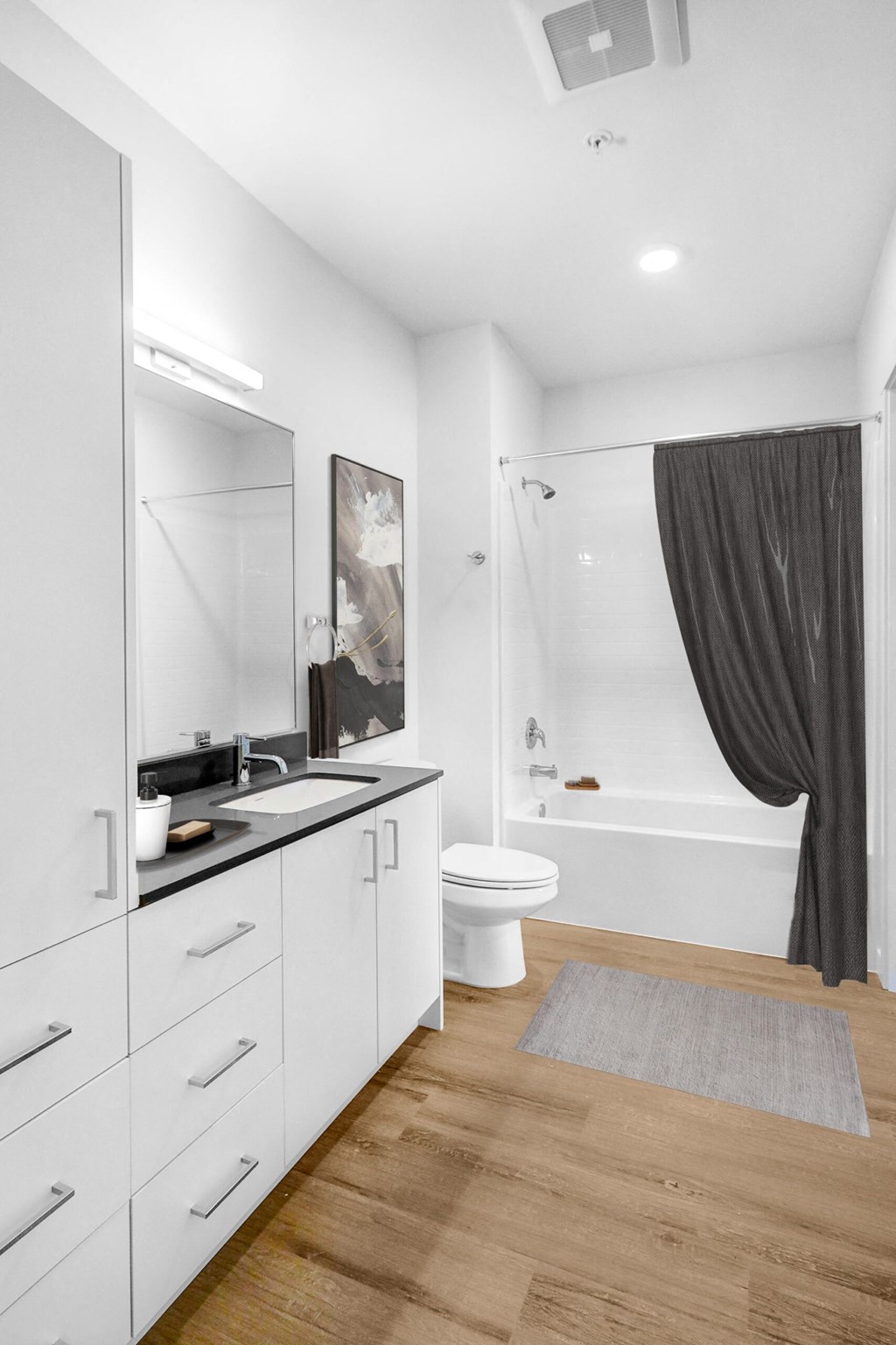 Alexan Gateway Apartments bathroom with shower tub