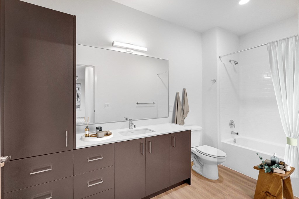 Alexan Gateway Apartments Bathroom with Large Cabinets