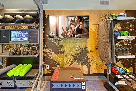 a gym with weights and a television on the wall