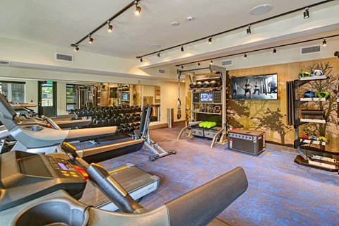 a gym with treadmills and weights and a television