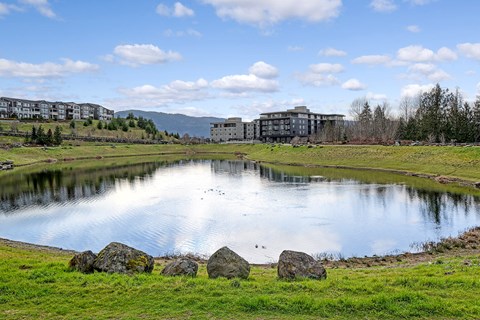 a pond with buildings in the background and a blue sky