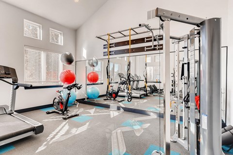 A gym with a treadmill, exercise balls, and weight machines.