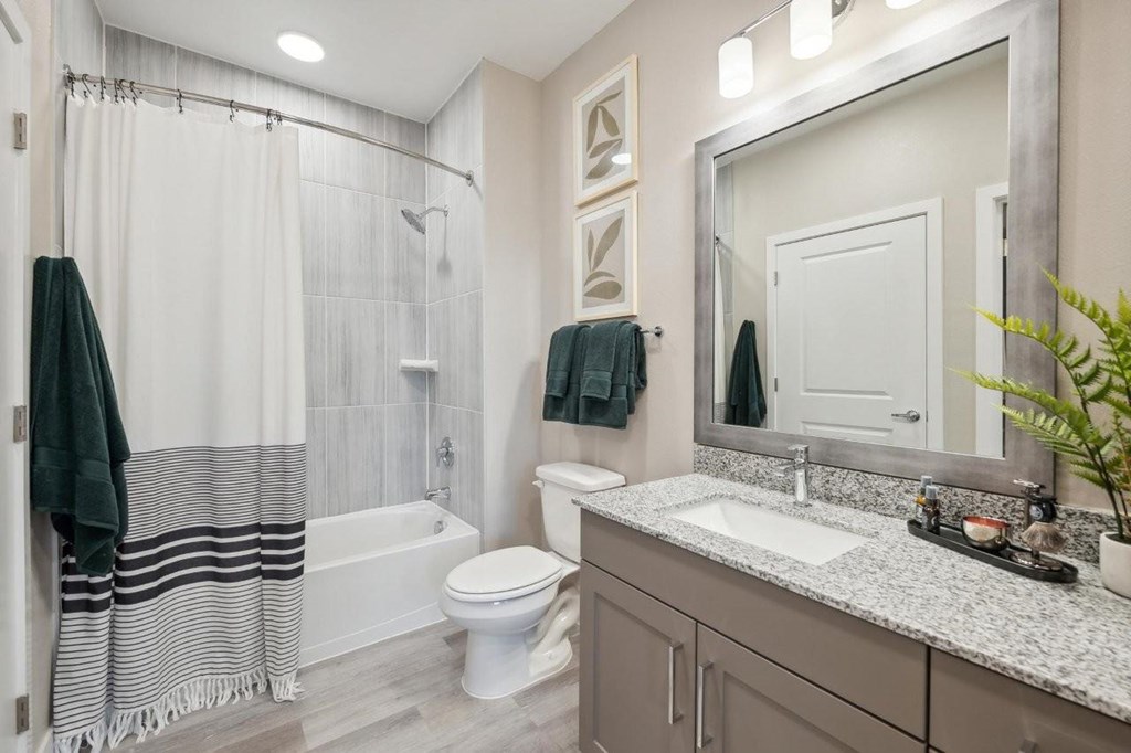 Alta Center Point Apartments in San Marcos, Texas Model Bathroom