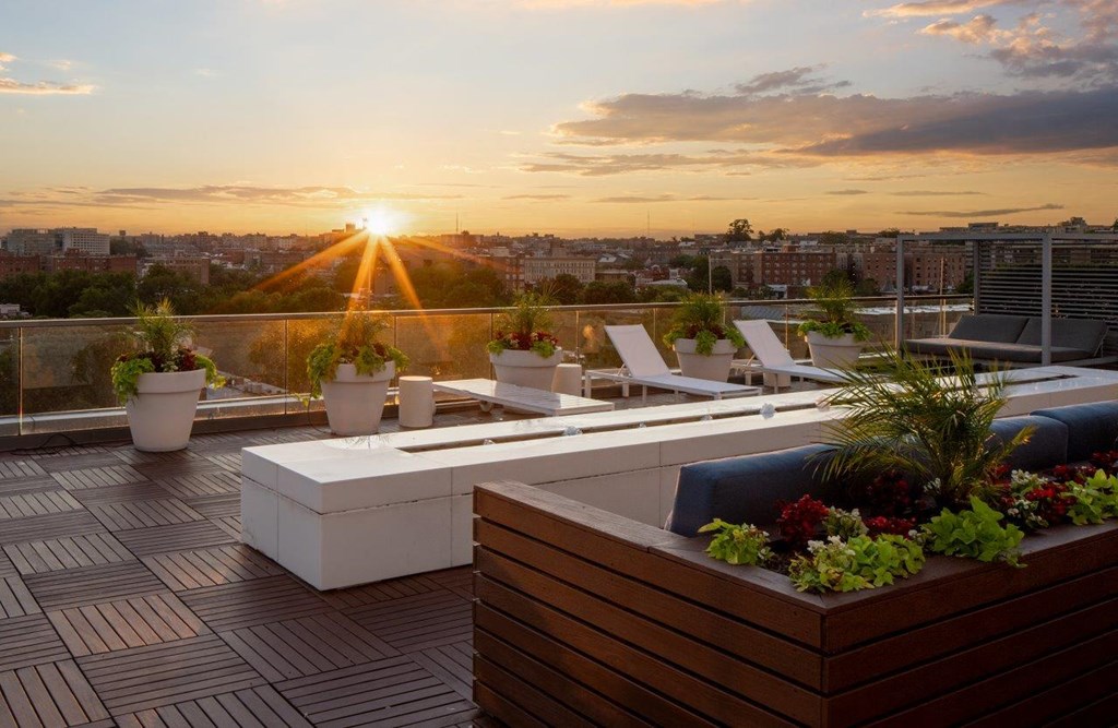 Alton District Luxury Apartments in Washington, DC Rooftop Terrace with Lounge Chairs