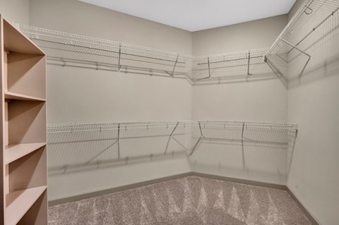 A room with a carpeted floor and a wall-mounted shelving unit.