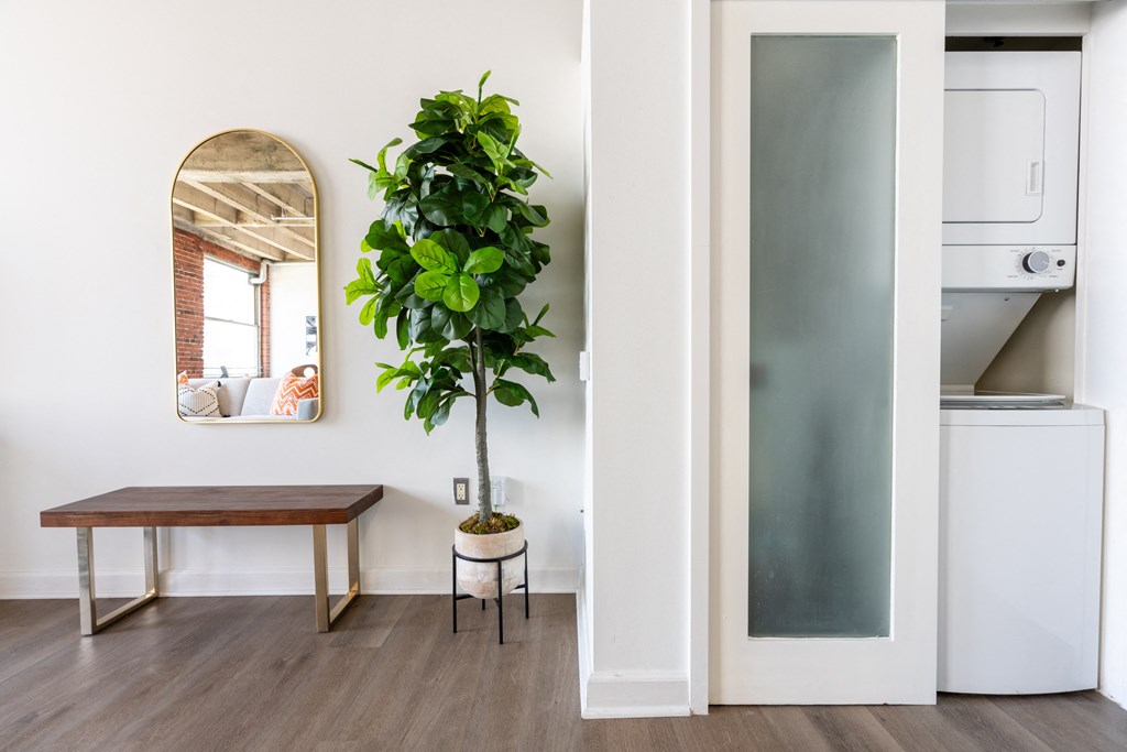 a living room and kitchen with a plant and a mirror