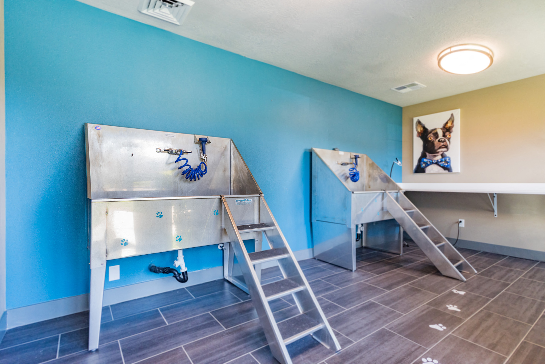 The Grove Apartments Dog Washing Stations