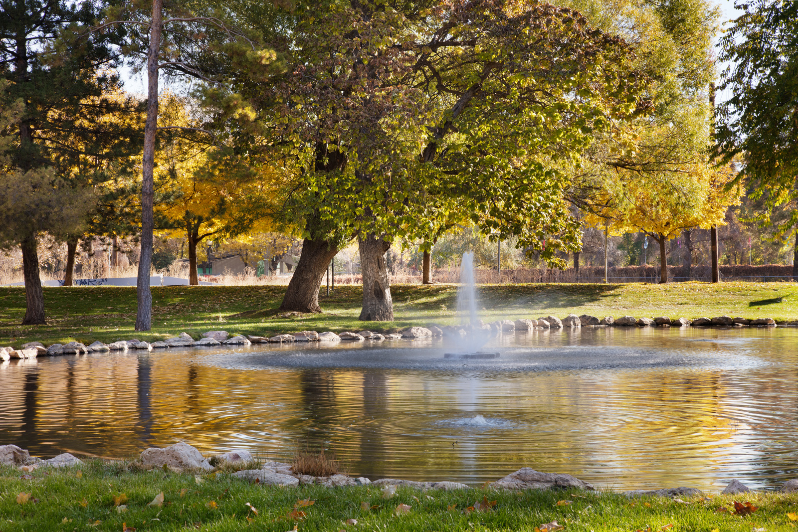 The Grove Apartments Lake and Fountain