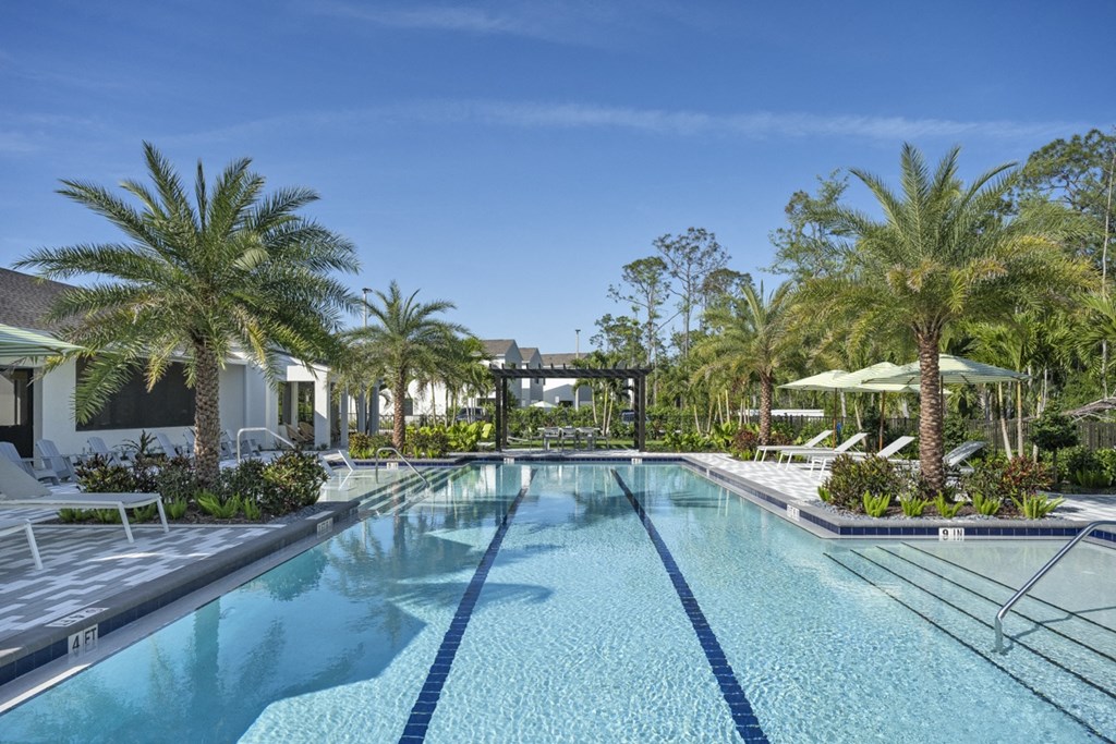 Argos by Soltura Rental Homes swimming pool with palm trees and chairs around it