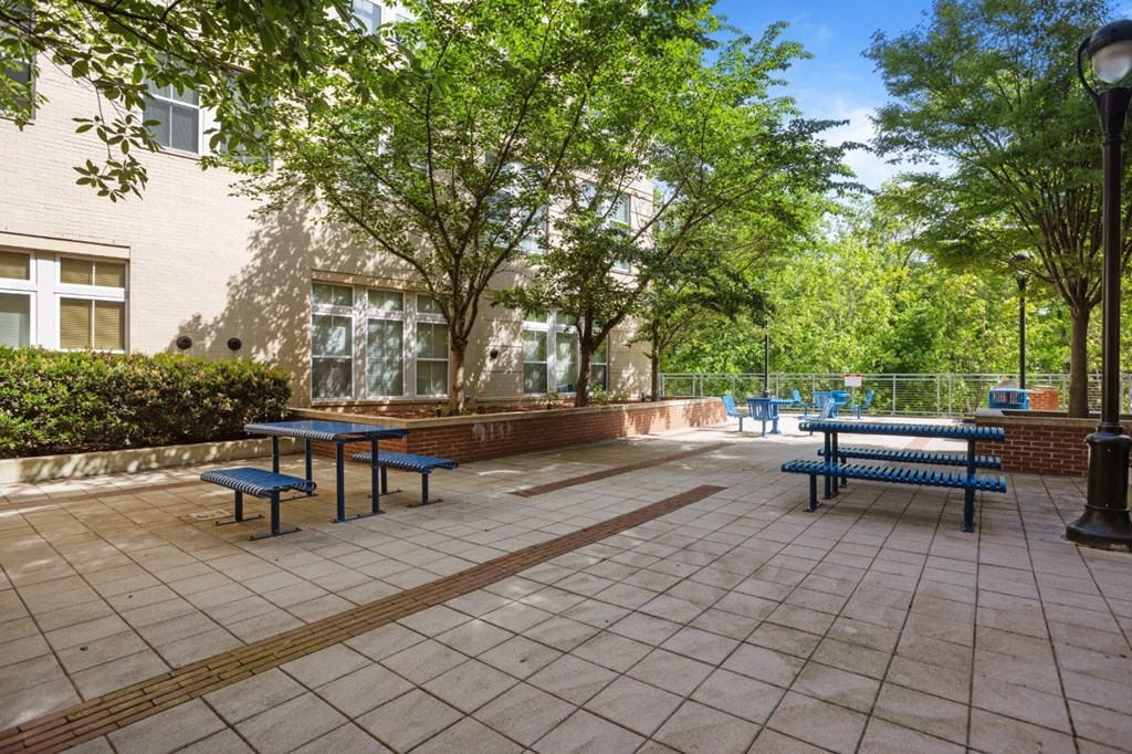 A sunny day at the park with benches and trees.