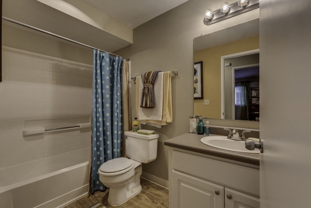 a bathroom with a shower toilet and sink