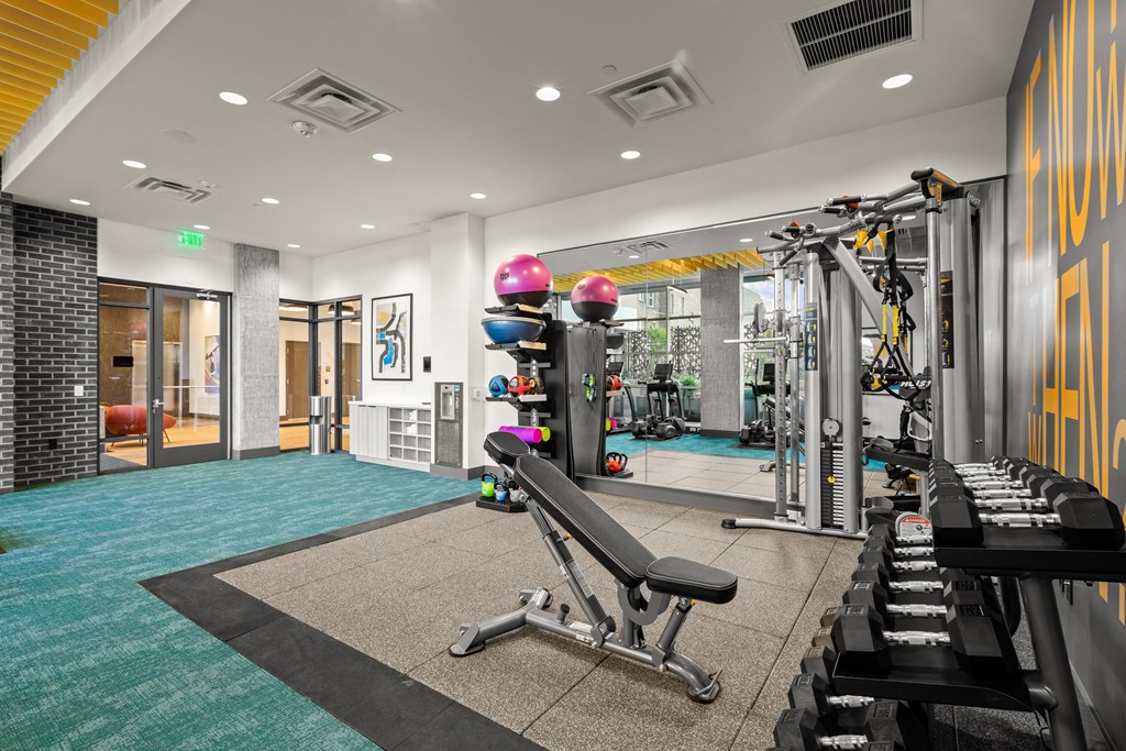 a gym with weights and cardio equipment on a blue rug