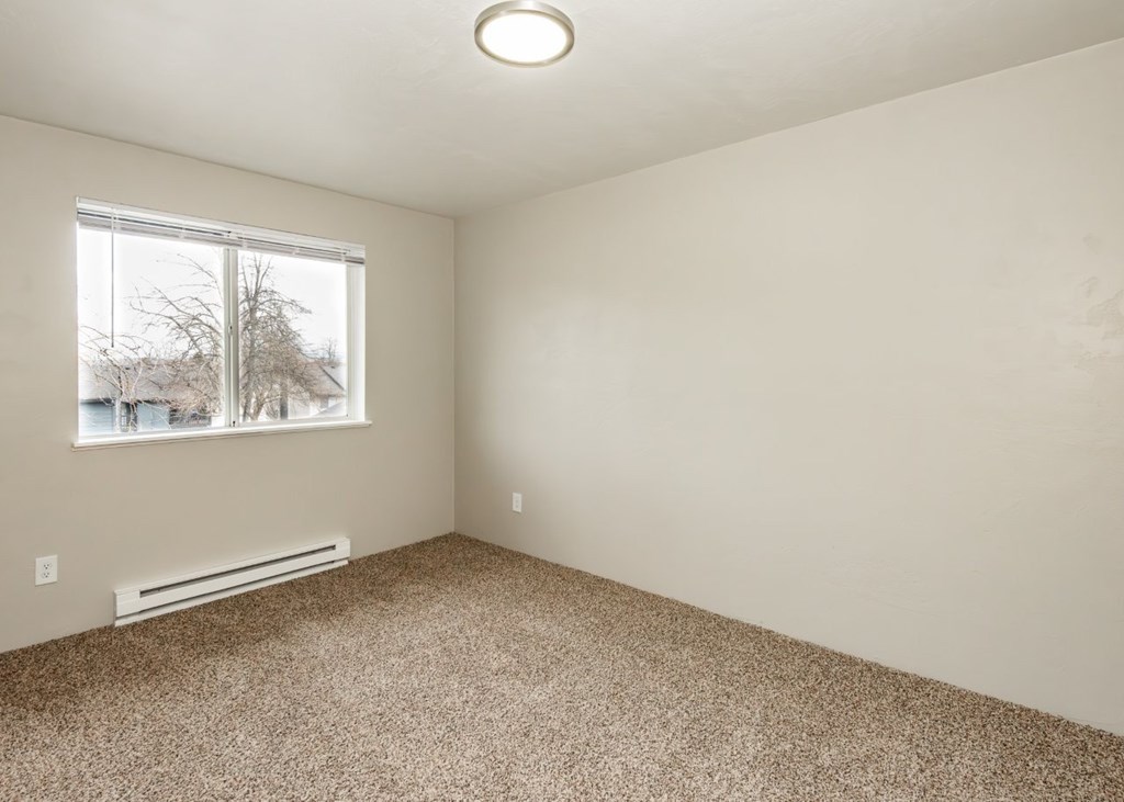 A room with a carpeted floor and a window showing a tree outside.
