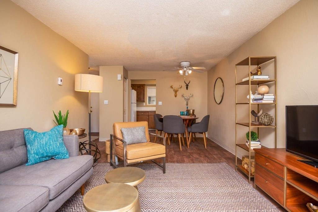 A living room with a grey couch, a wooden chair, and a TV.