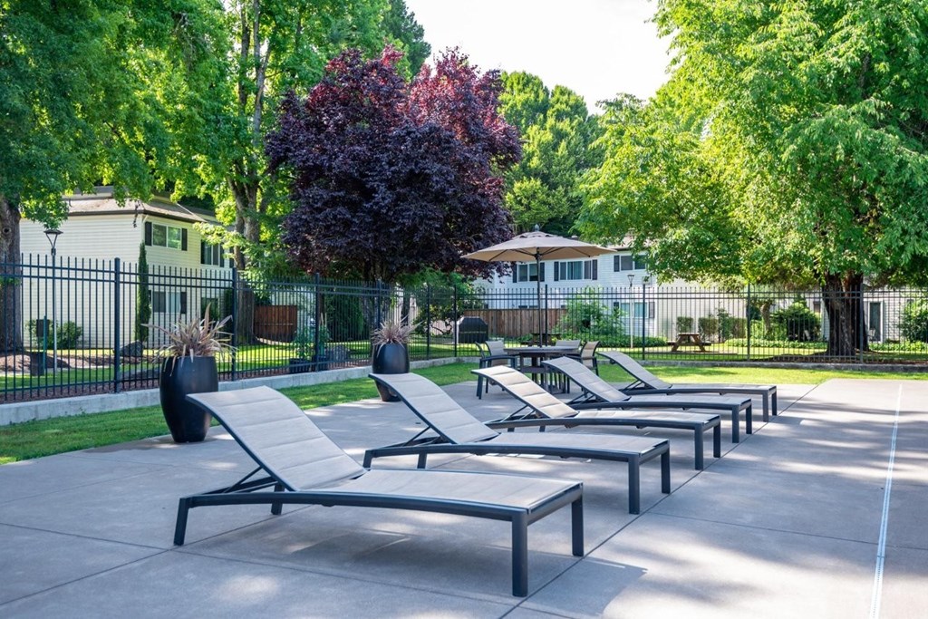 A row of sun loungers are arranged on a concrete surface.