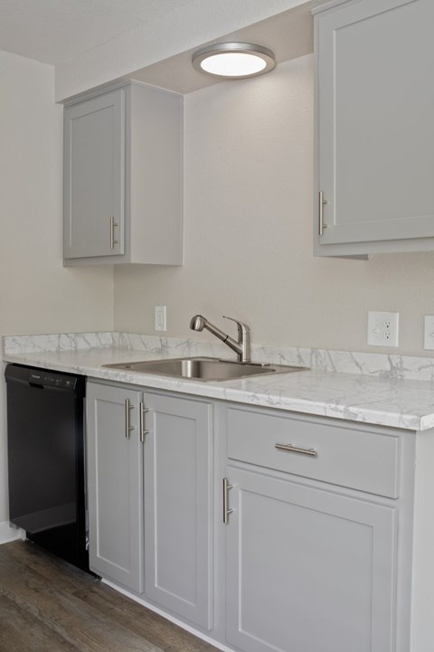 A kitchen with a sink and cabinets.