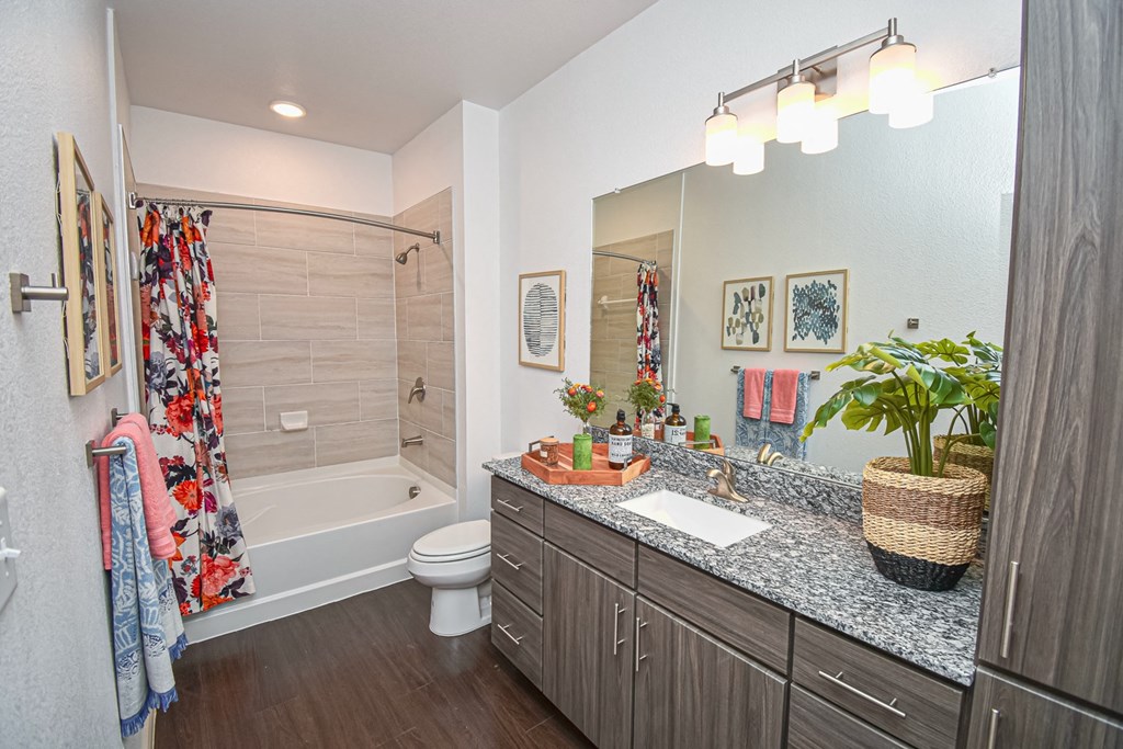 Aspire at Live Oak Bathroom with Large Vanity and Bathtub