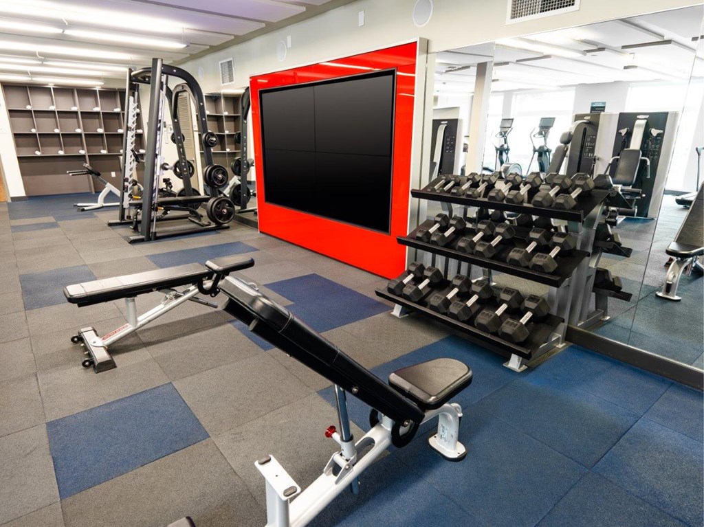 A gym with a variety of equipment including a bench press, a squat rack, and a mirror.