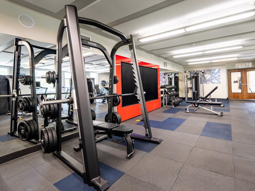 A gym with a variety of equipment including a squat rack, bench press, and a weight rack.