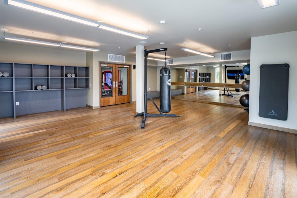 A gym with a punching bag in the center of the room.