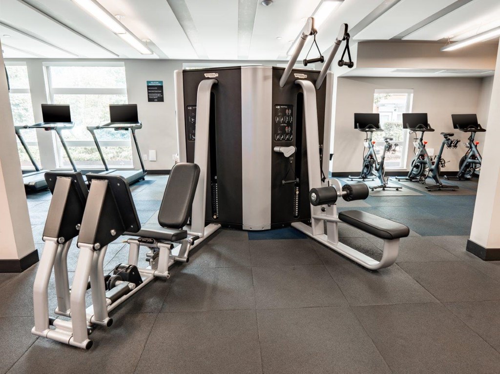 A gym with a row of treadmills and a row of exercise bikes.