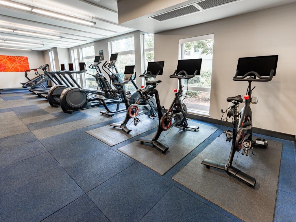 A gym with a row of stationary bikes and elliptical machines.
