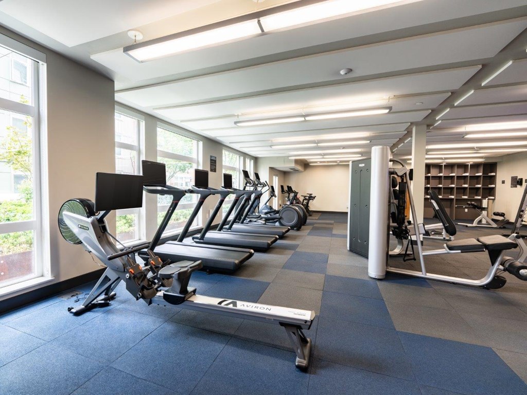 A gym with treadmills, exercise bikes, and other equipment.