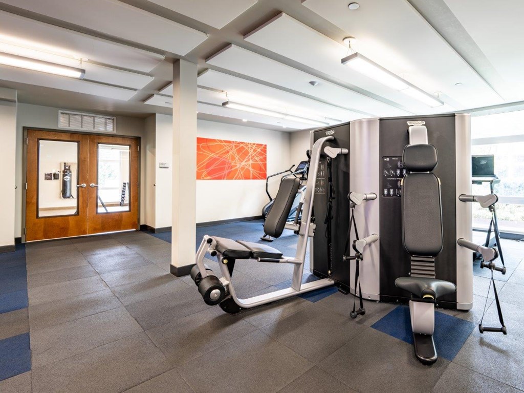 A gym with a variety of equipment including a treadmill, a stationary bike, and a rowing machine.