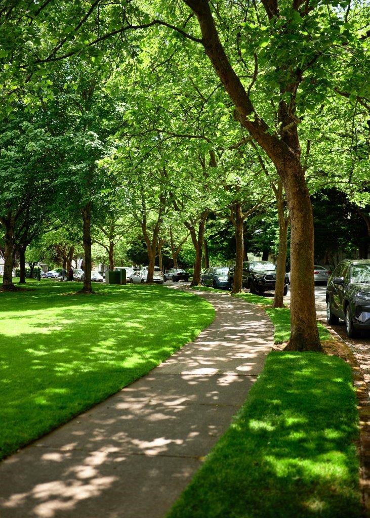 Atrio Apartments Courtyard and Walking Path