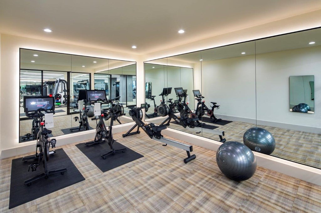 Aura 3Twenty Apartments in McKinney, Texas Fitness Center