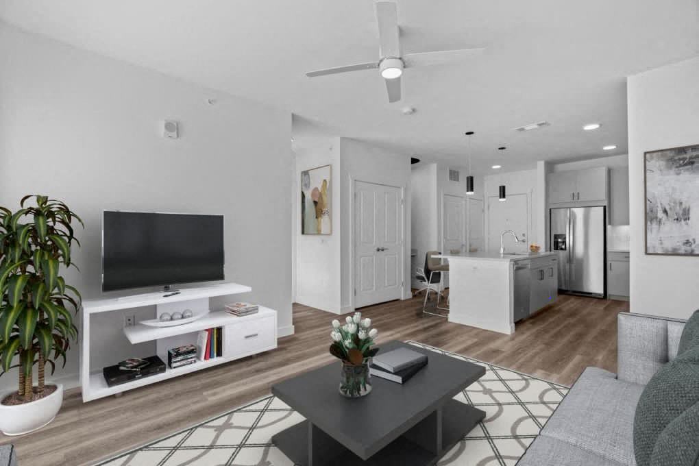 a living room with a television and a kitchen