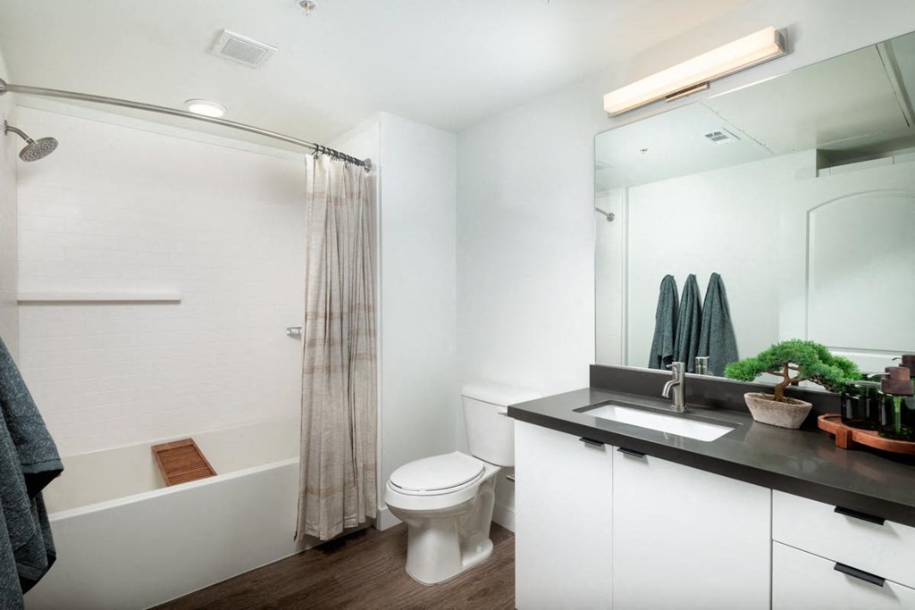 Park on First Apartments B3 Guest Bathroom